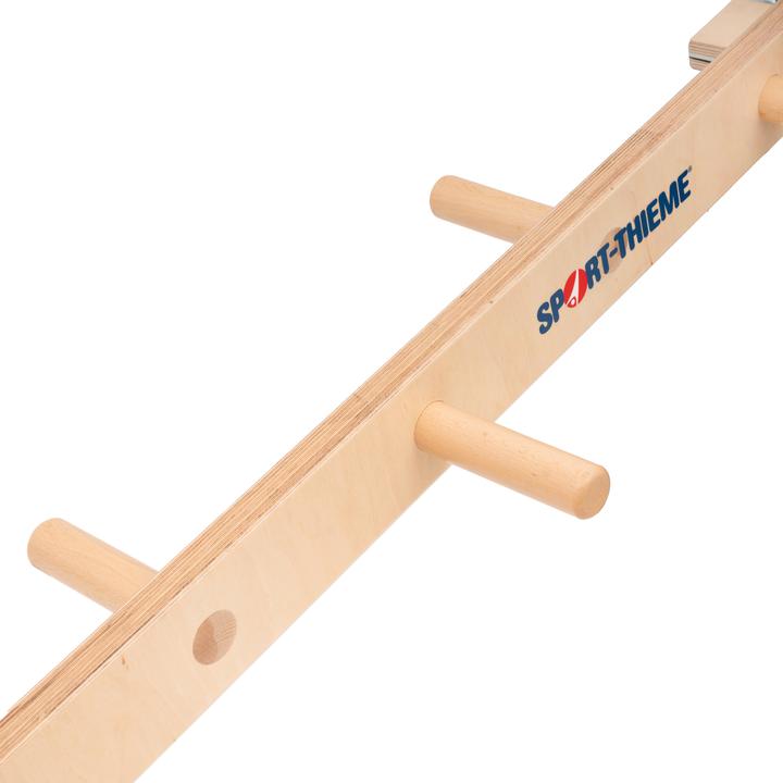 Actual product image Sport-Thieme Semiconductor Combi