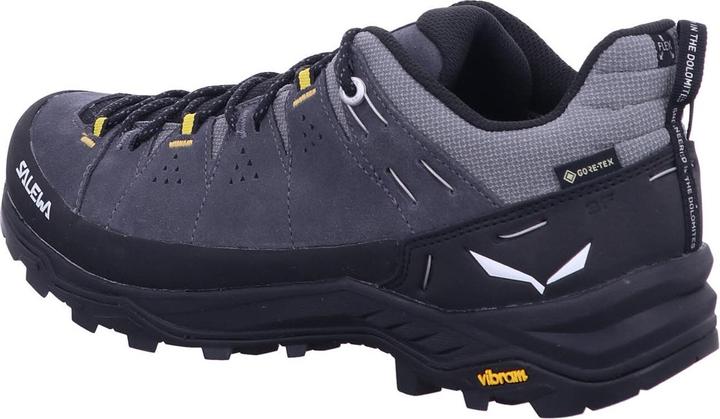 Produktbild Salewa Alp Trainer 2 GTX (45)