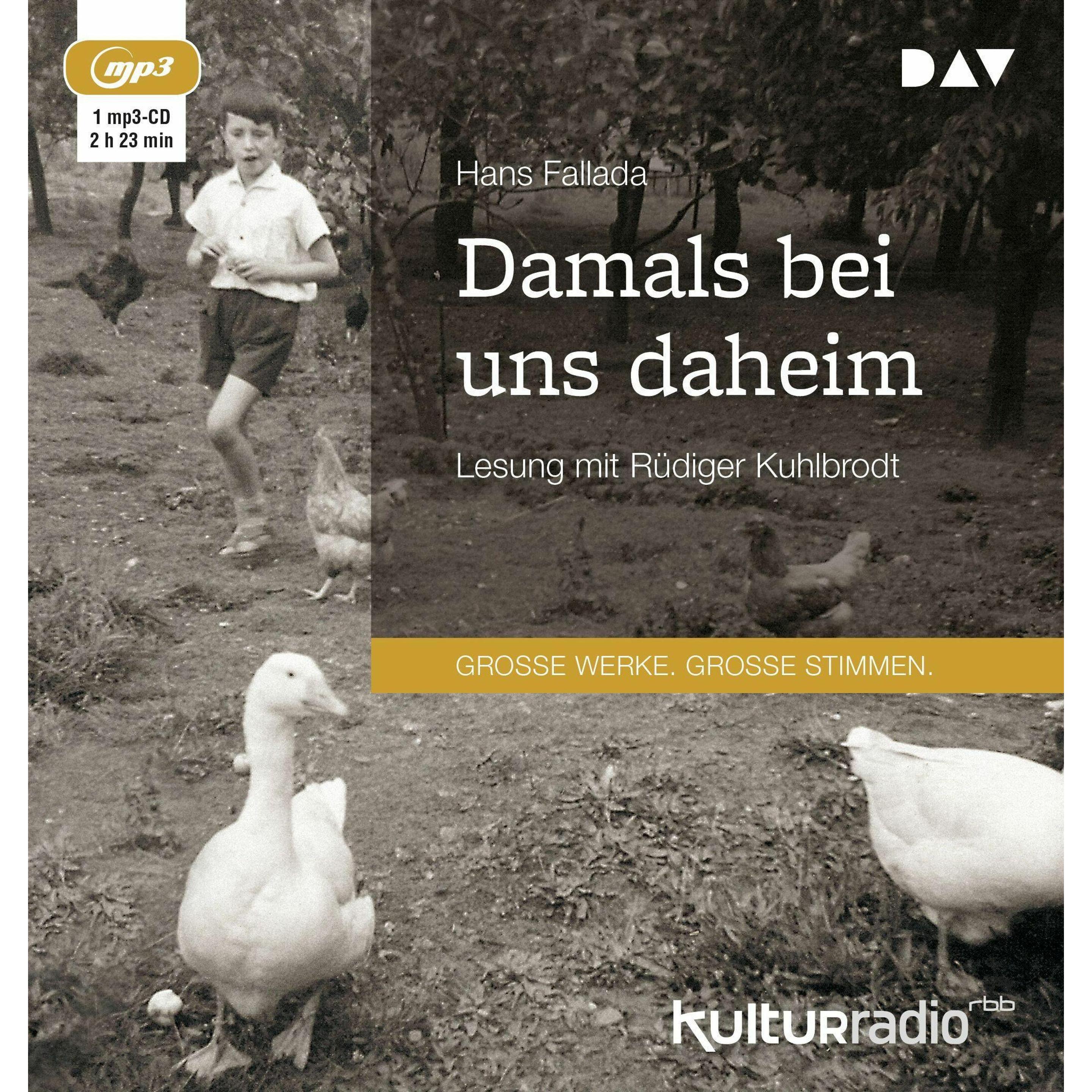 Thumbnail - Damals bei uns daheim, Hörbücher von Rüdiger Kuhlbrodt, Hans Fallada