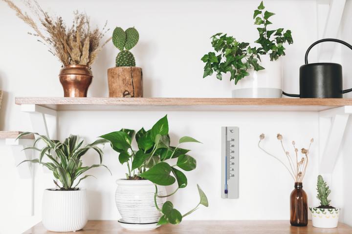 Image du produit TFA Thermomètre intérieur