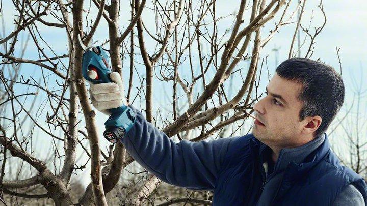Produktbild Bosch Professional Pro Pruner (Akkuheckenschere)