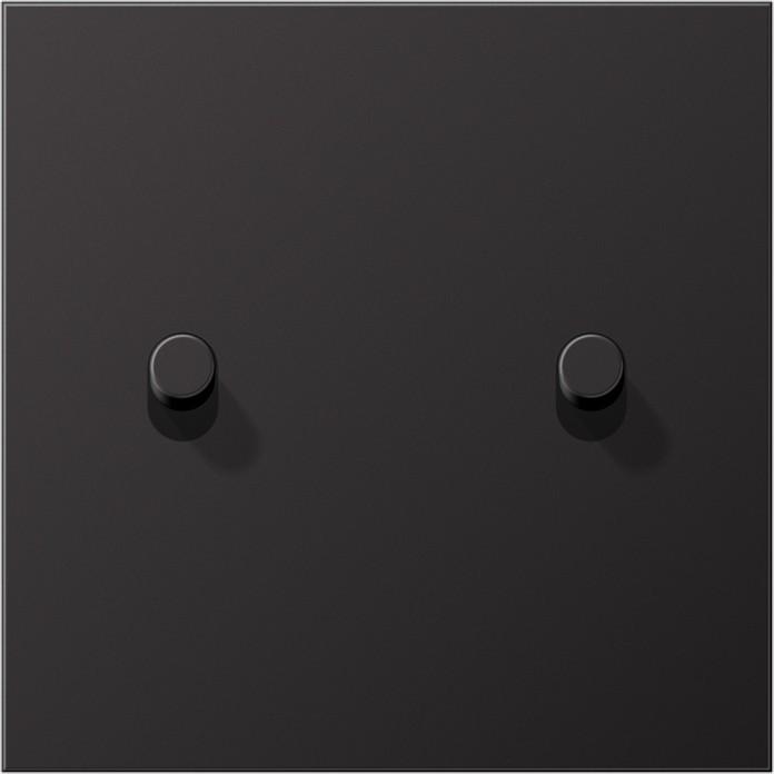 Actual product image JUNG AL12-5DR01