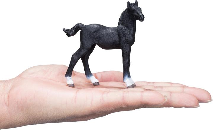 Image du produit small foot Poulain hanovrien