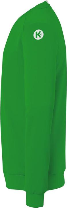 Image du produit Kempa Player Training Top (S)