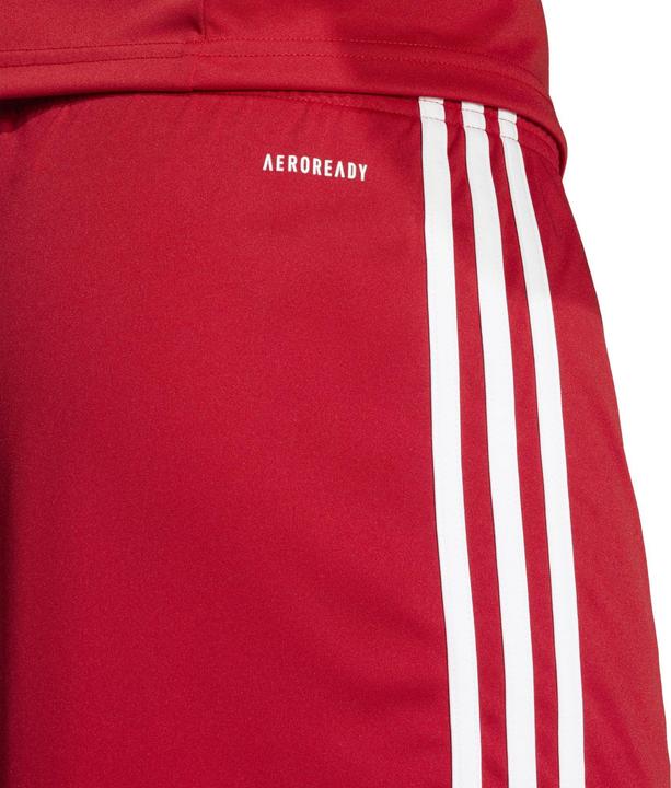 Produktbild adidas Squadra 25 Short (L)