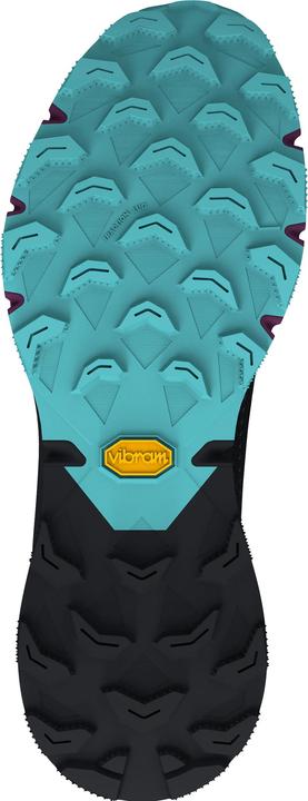 Immagine prodotto Dynafit Scarpa da corsa Ultra 100 GTX (37)