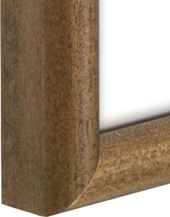 Productafbeelding Hama Phoenix (10 x 15 cm)