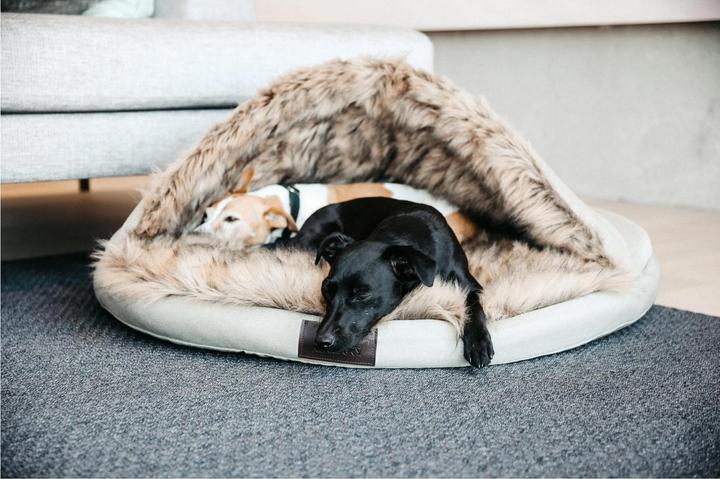 Immagine prodotto Kentucky Dogwear Cane letto Igloo (Cane)