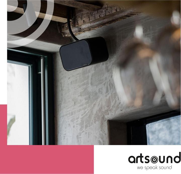 Productafbeelding Artsound UNI20 (1 paar)