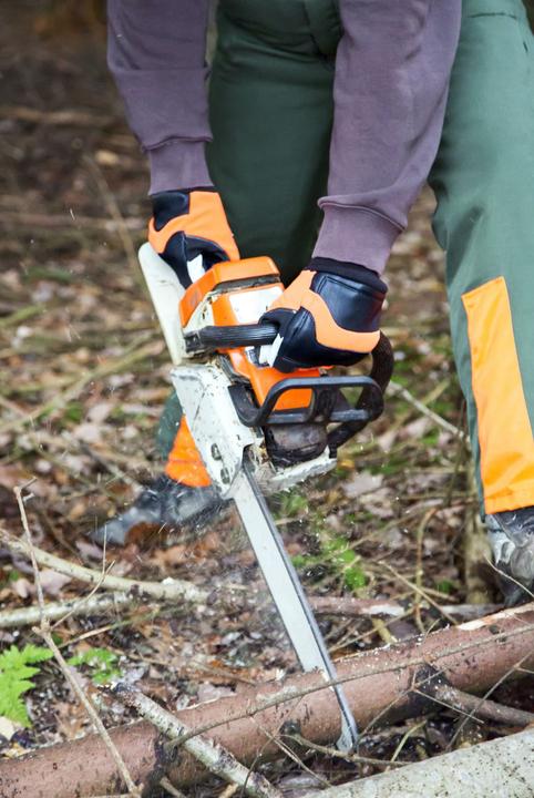 Actual product image Kerbl Logger (9)