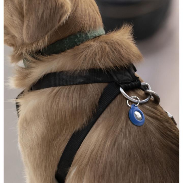 Image du produit Belkin Porte-étiquette sécurisé