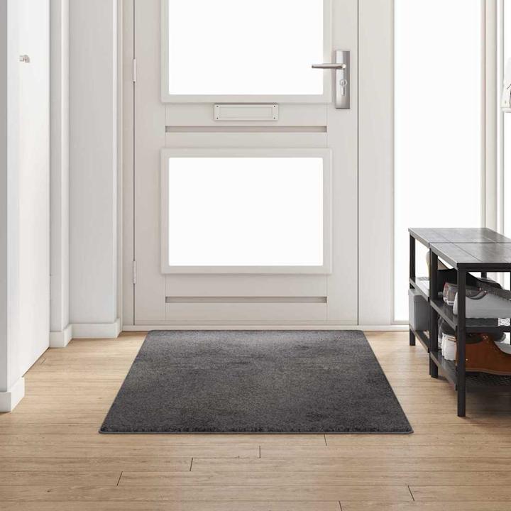 Produktbild vidaXL Läufer (250 x 100 cm)