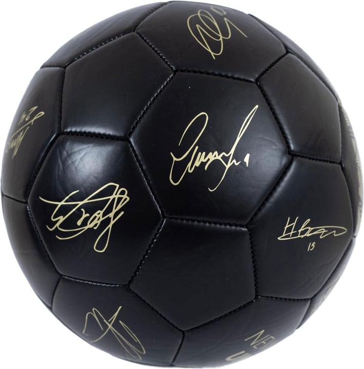 Immagine prodotto Newcastle United FC Pallone (5)