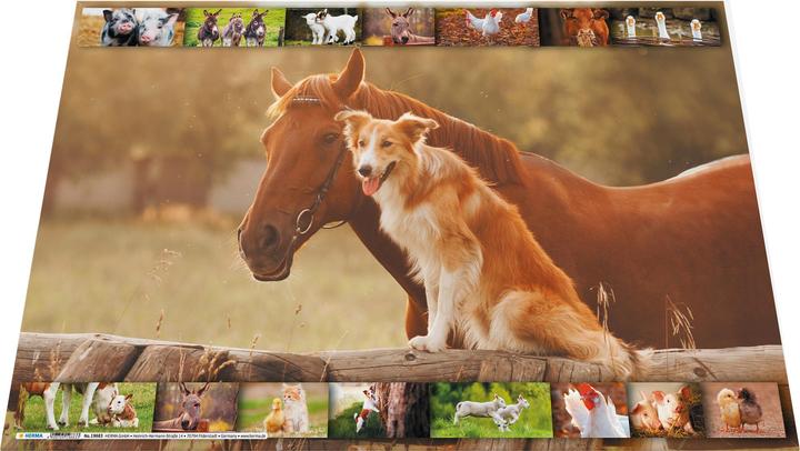 Immagine prodotto Stanley STHT0-80442 (1 x)