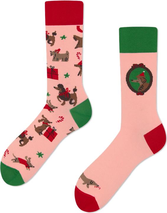 Produktbild Many Mornings Winter Woofs (35 - 38)