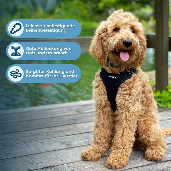 Immagine prodotto Voyager Hundegeschirr mit Reflektorstreifen (L, Cane)
