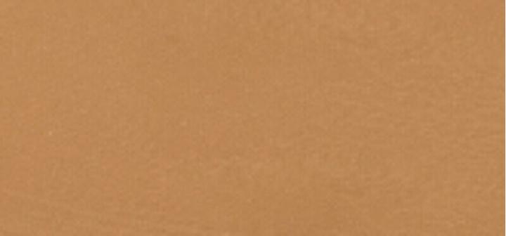 Produktbild L'Oréal Paris True Match Hyaluron Tinted Balm (Medium Tan)