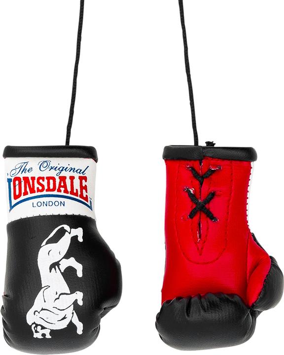 Immagine prodotto Lonsdale Guantoni da boxe in miniatura (Taglia unica)