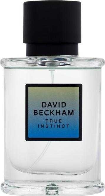 David Beckham David & Victoria Beckham Instinct True Instinct Eau de Parfum Vapo 50 ml (Eau de parfum, 50 ml)