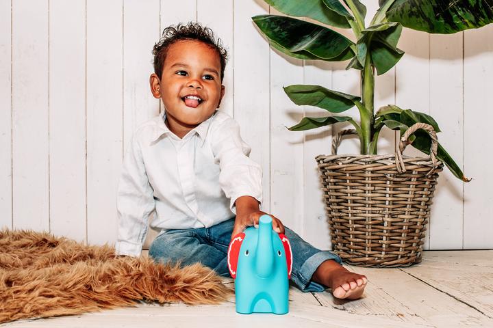 Image du produit Fisher-Price Elephant