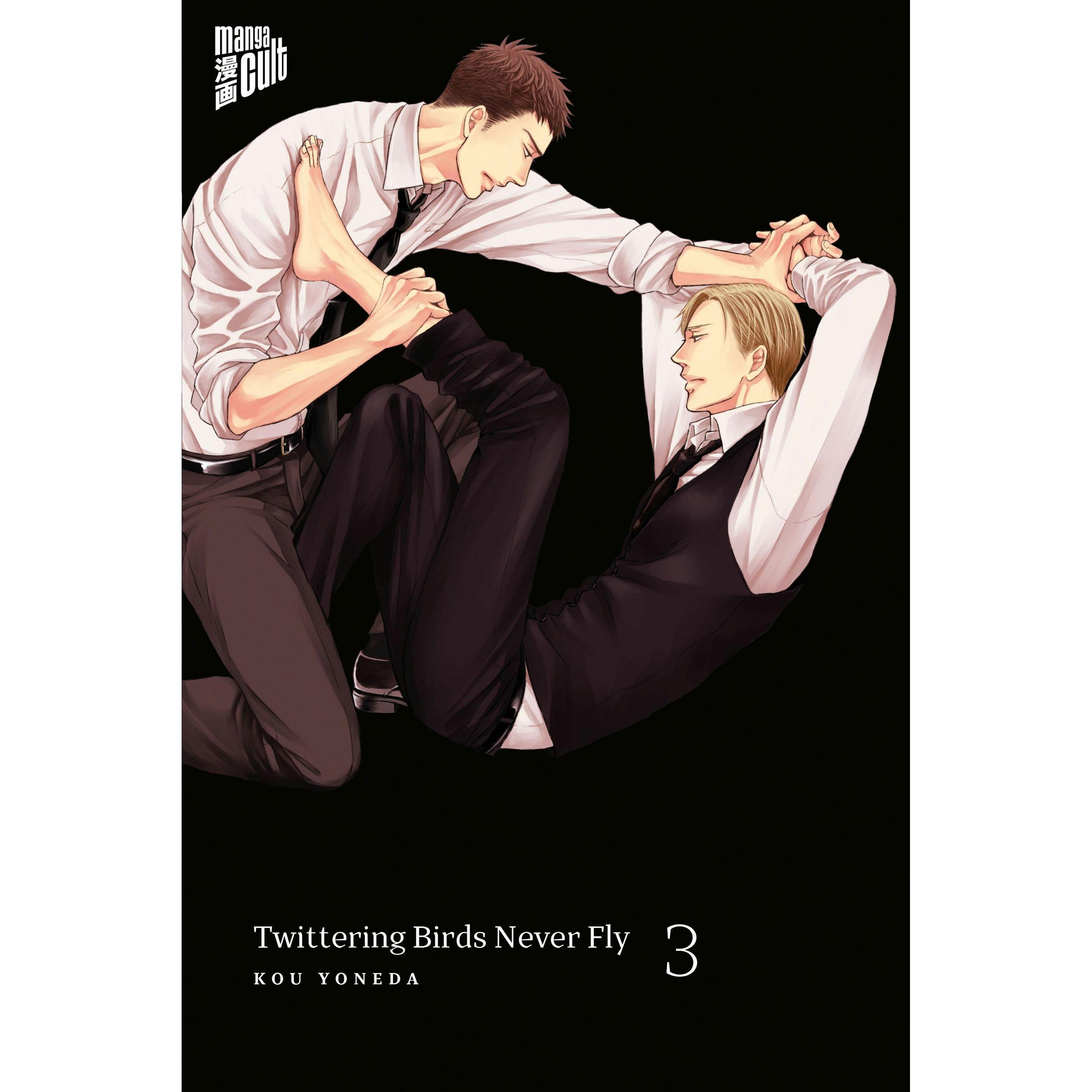 Twittering Birds Never Fly 3, Narrativa di Verena Maser, Kou Yoneda