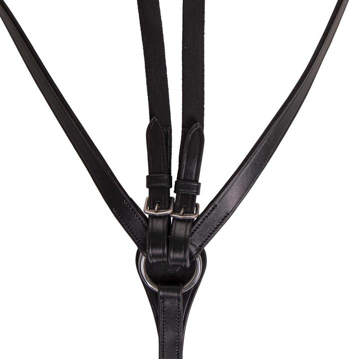 Produktbild Qhp jagdhalsband für pferde basic pro