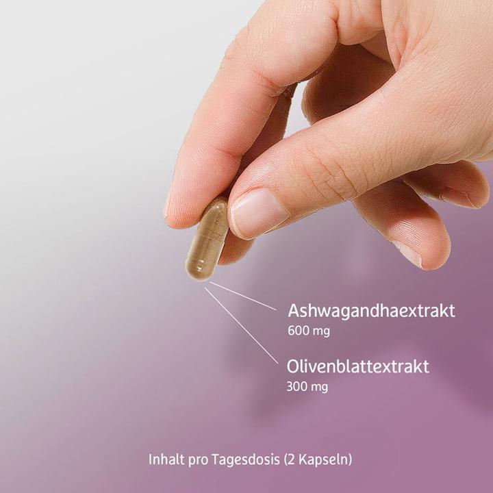 Image du produit Effective Nature Ashwagandha KSM-66 & extrait de feuille d'olivier bio (60 pièce(s), Capsules)