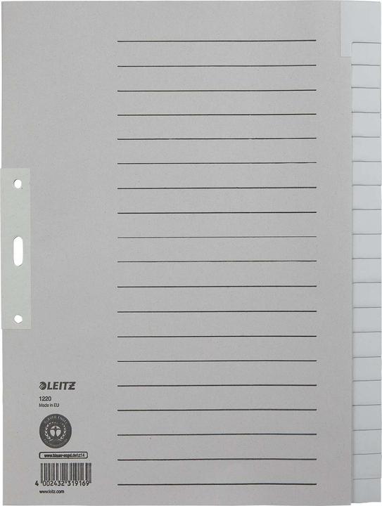 Actual product image Leitz Register paper gray