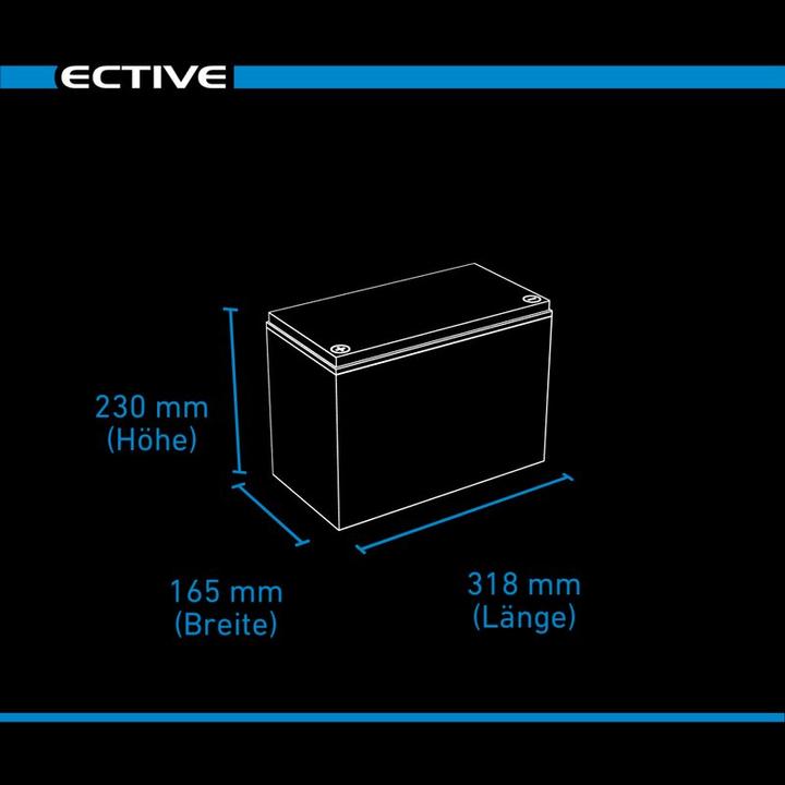 Actual product image Ective LC 100L LT 12V LiFePO4 Lithium Supply Battery 100 Ah (12 V, 100 Ah)