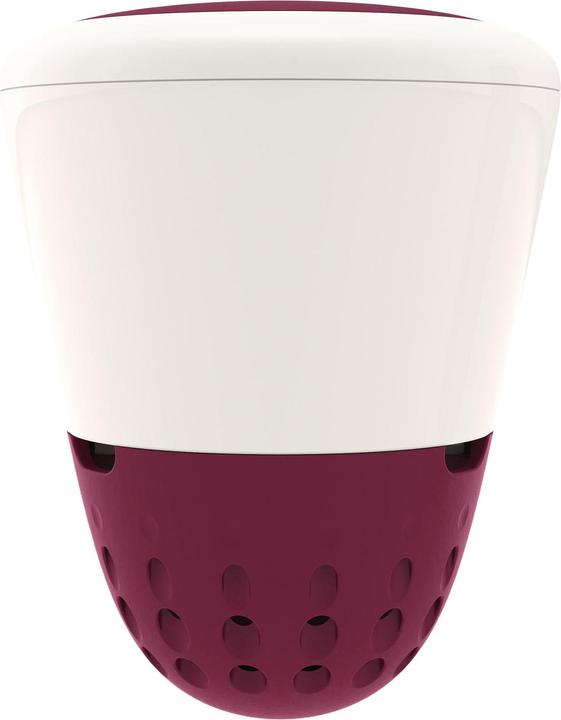 Actual product image ICO Spa