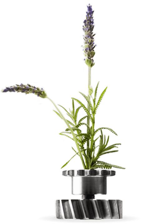 Immagine prodotto Gaultier Ultra Mâle (Eau de toilette, 125 ml)