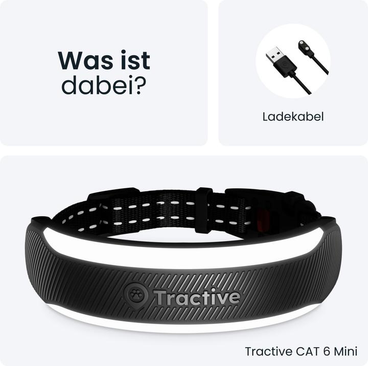 Actual product image Tractive CAT 6 mini (Cat)