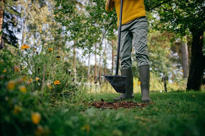 Image du produit Fiskars Découpeur de bordures
