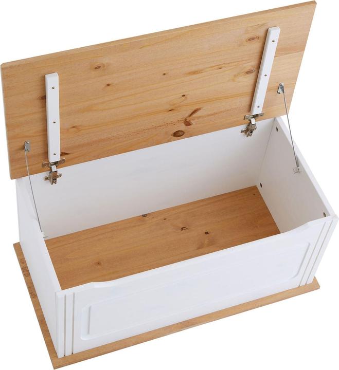 Image du produit IDIMEX Bristol (85 cm)