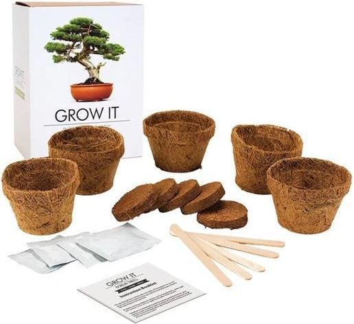Immagine prodotto Gift Republic Coltivalo come bonsai (Semi di piante)
