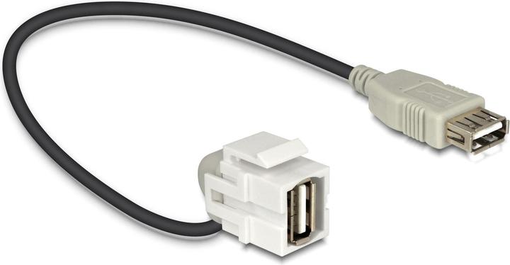 Image du produit Delock Jack Keystone : USB2.0,110° coudé (0.24 m, USB 2.0)