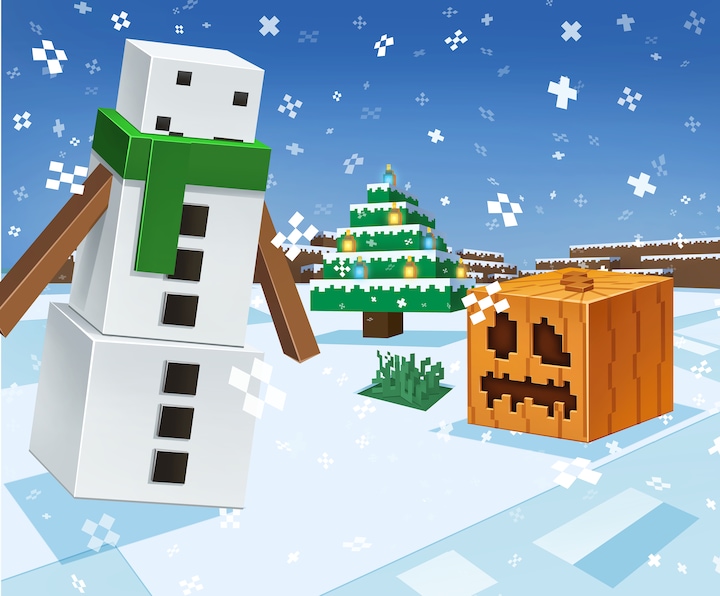 Actual product image Minecraft Advent calendar