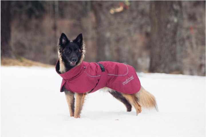 Produktbild Rukka Stormy (30, Hundemantel)