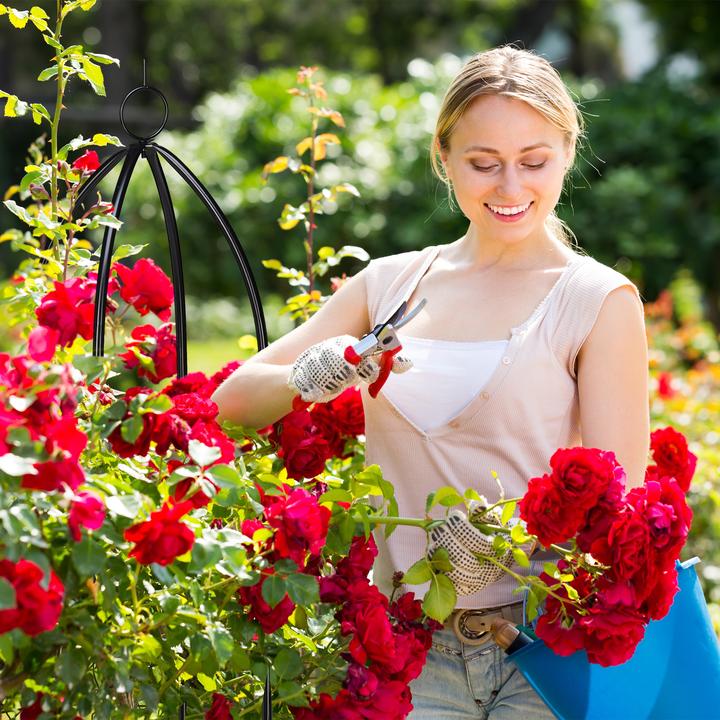 Immagine prodotto Relaxdays Rankturm (29 cm, 29 cm)