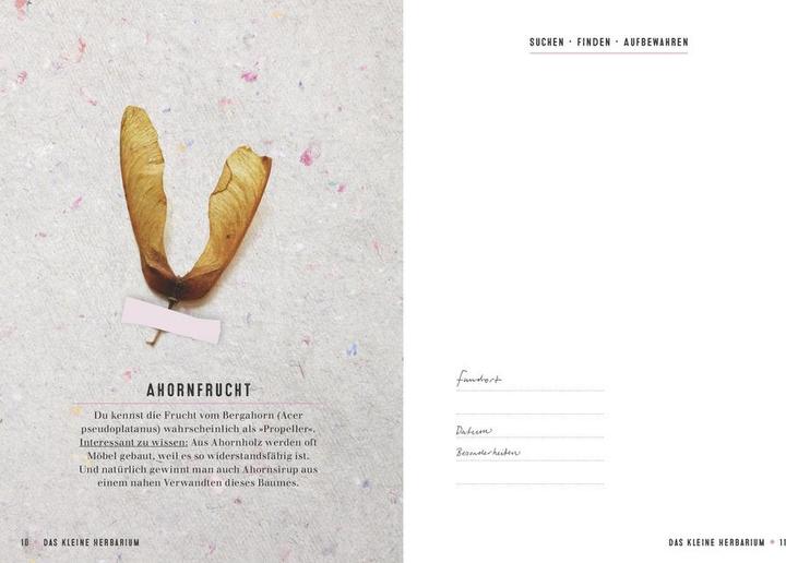 Produktbild Das kleine Herbarium (Deutsch, Saskia de Valk, 2016)