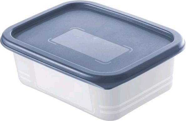 Rotho Gefrierdosen Set (0.50 l)