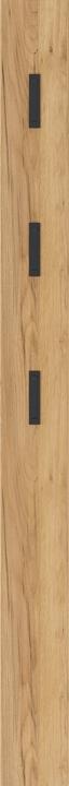 Actual product image Germania Wardrobe panel3728