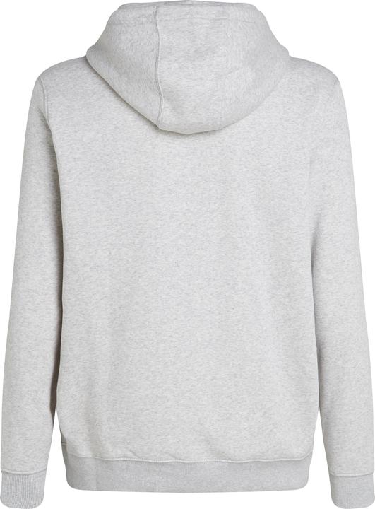 Actual product image Tommy Jeans Tjm Reg S Flag Hoodie (S)