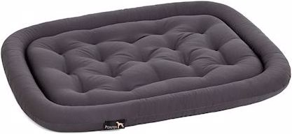 Actual product image Pointer Dog cushion (Dog)