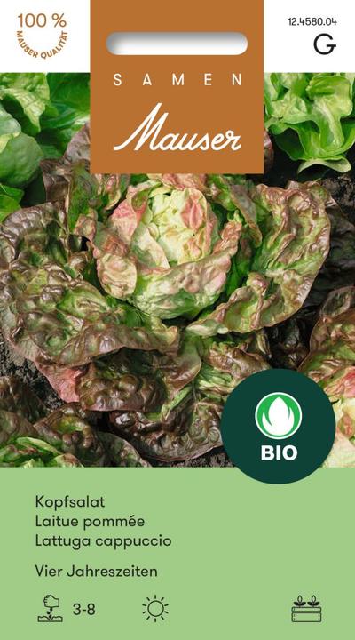 Image du produit Samen Mauser Laitue biologique Bourgeon Quatre Saisons (Graines de légumes)
