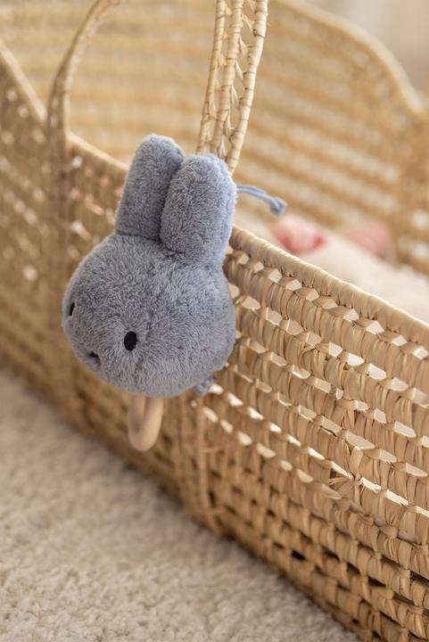 Immagine prodotto Smiffys Carillon Miffy Fluffy Blu