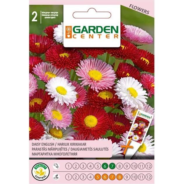 Garden Center, Semi, Perennial Daisies Seeds Gc