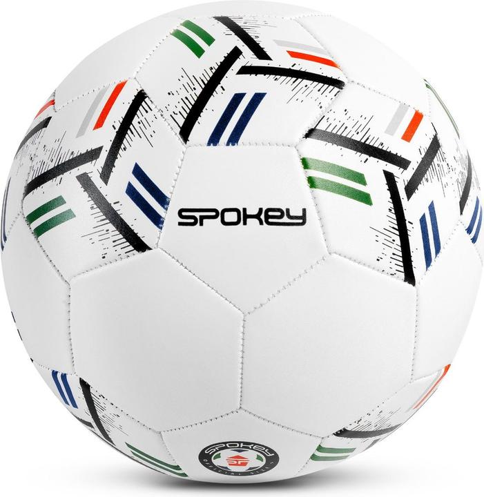 Spokey Goal (5)
