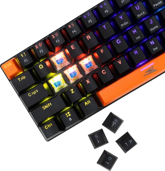 Actual product image Baracuda Computer keyboard BGK-03121 Dolphin Black US Mechanical Blue Switches (US, Cable)