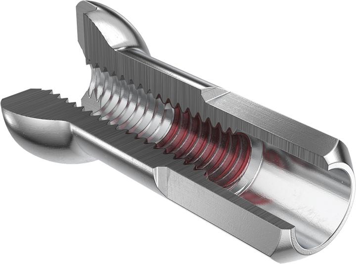 Actual product image DT Swiss Pro Head nipple brass PL 2.0/12mm, si, 100 pcs.